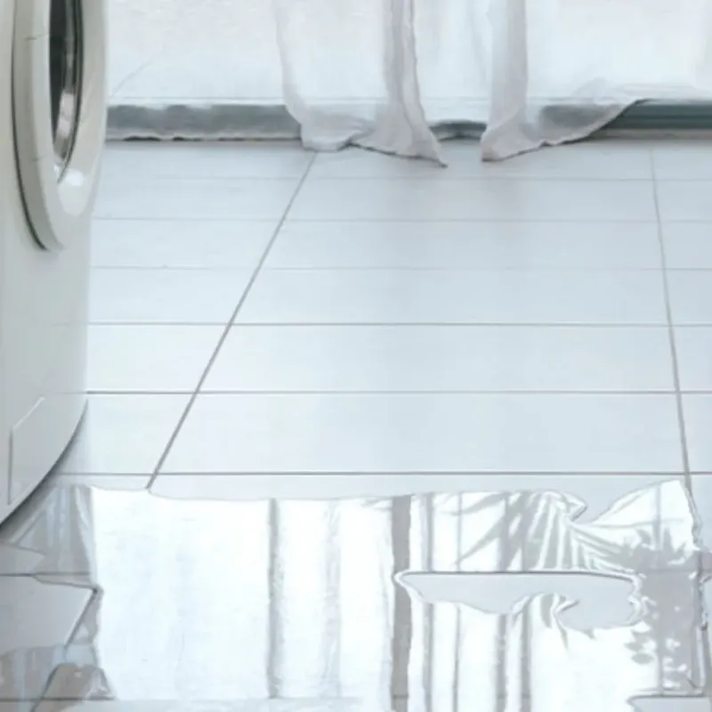 Appliance Leak Cleanup in Dunnigan, CA